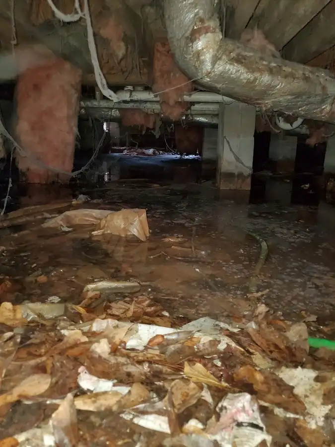 Crawl space flood assessment for Commercial Water Damage Restoration in Napoleon
