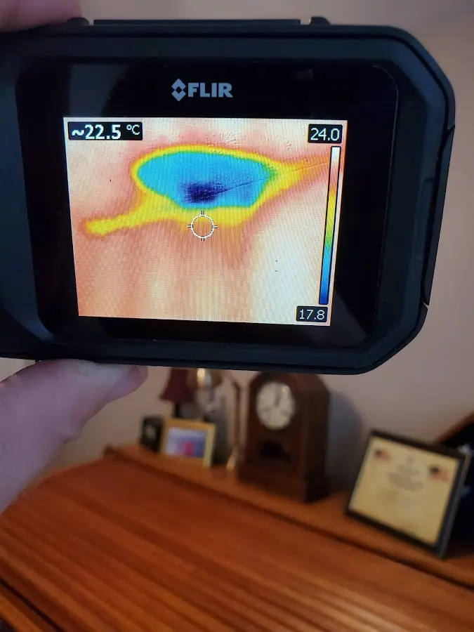 Thermal imaging inspection for water damage in Napoleon