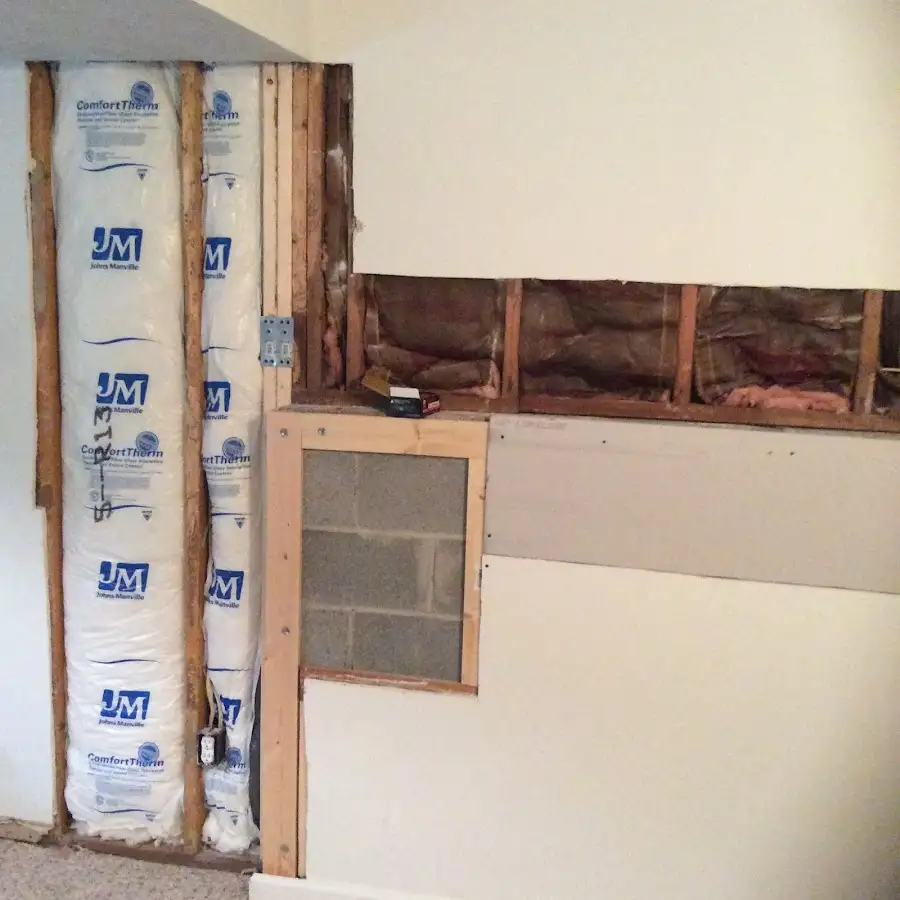 Wall insulation replacement during Odor Removal & Deodorization in Napoleon